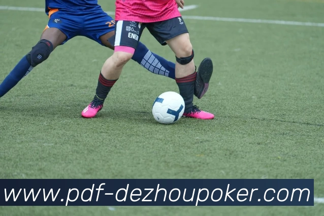 德州扑克平台生态图