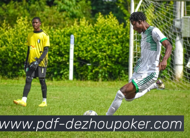 辅助工具 辅助工具